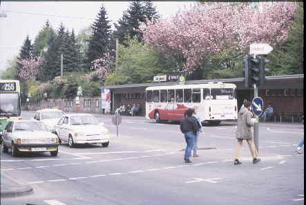 Viel Gr�n mitten in der Stadt -
beim alten Busbahnhof!